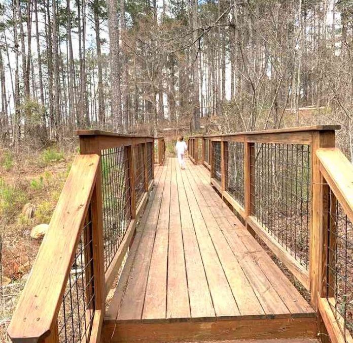 Reopening Line Creek Nature Area: Can Peachtree City Council Find a Cost-Effective Solution?