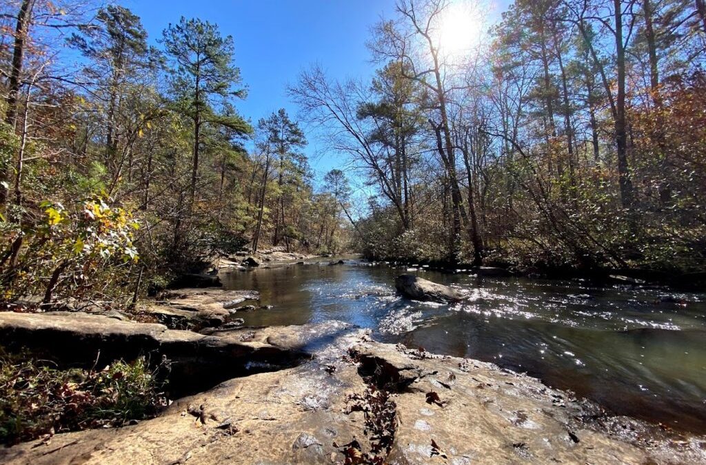 Rebuilding Peachtree City’s Line Creek Nature Area: A Costly Challenge