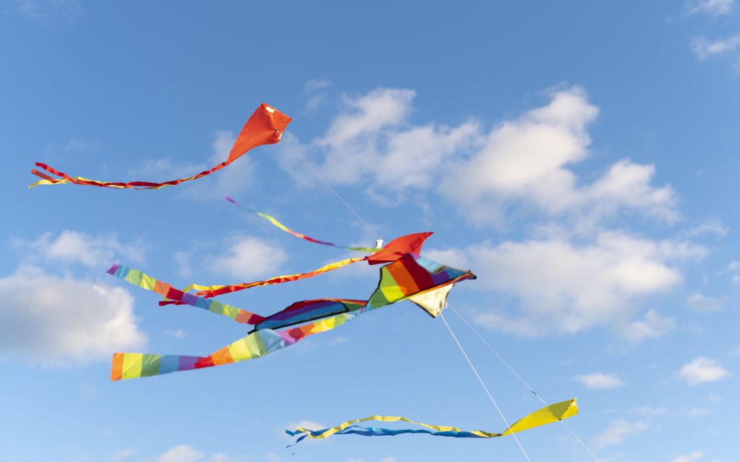 Soaring High: Let’s Build and Fly a Kite together at Blue Smoke Park