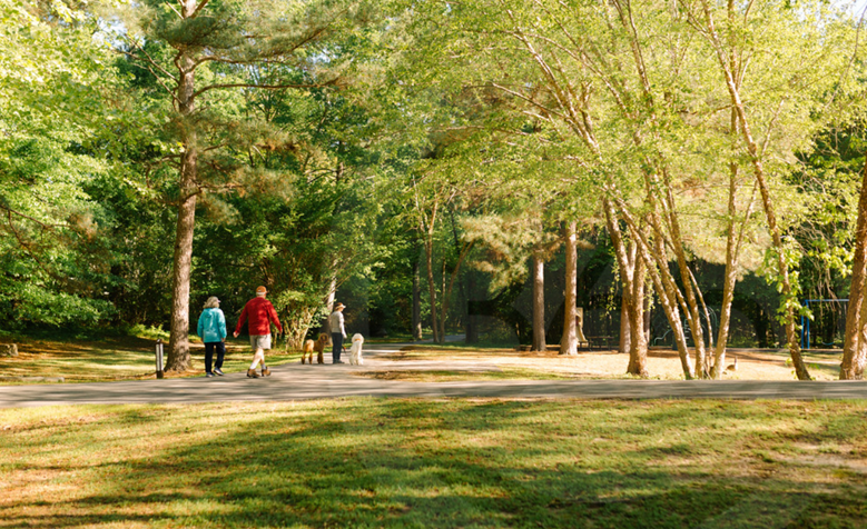 Peachtree City: A Vibrant Community Rich in Sporting Opportunities.